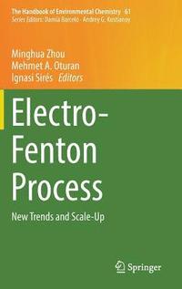 bokomslag Electro-Fenton Process