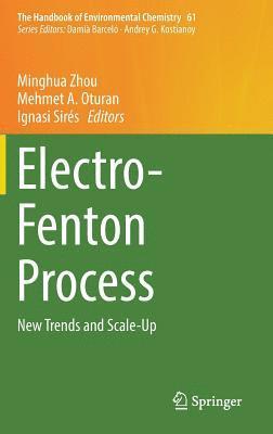 bokomslag Electro-Fenton Process