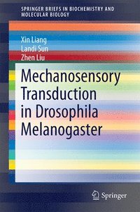 bokomslag Mechanosensory Transduction in Drosophila Melanogaster