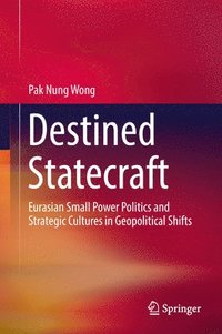 bokomslag Destined Statecraft