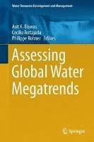 bokomslag Assessing Global Water Megatrends