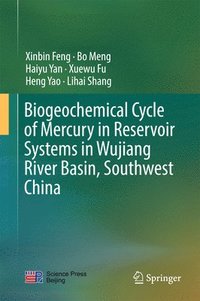 bokomslag Biogeochemical Cycle of Mercury in Reservoir Systems in Wujiang River Basin, Southwest China