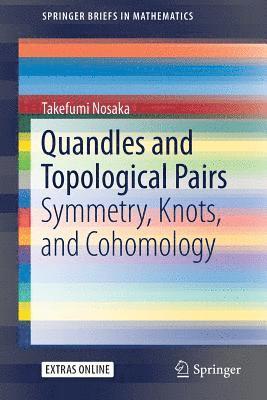 bokomslag Quandles and Topological Pairs