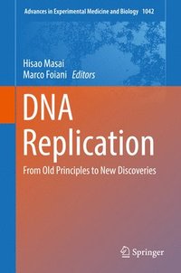 bokomslag DNA Replication