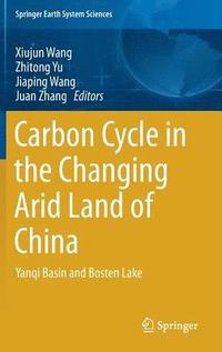 bokomslag Carbon Cycle in the Changing Arid Land of China