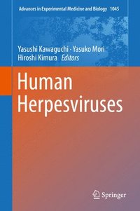 bokomslag Human Herpesviruses
