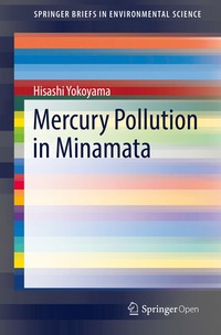 bokomslag Mercury Pollution in Minamata