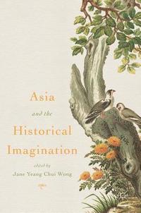 bokomslag Asia and the Historical Imagination