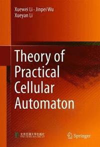 bokomslag Theory of Practical Cellular Automaton