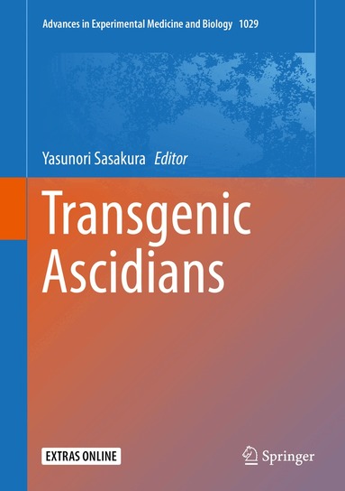 Yasunori Sasakura - Transgenic Ascidians, Inbunden