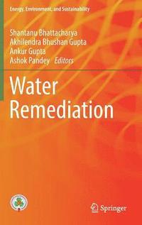 bokomslag Water Remediation