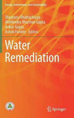 Water Remediation 1