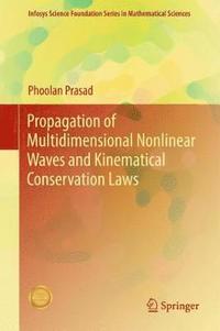 bokomslag Propagation of Multidimensional Nonlinear Waves and Kinematical Conservation Laws