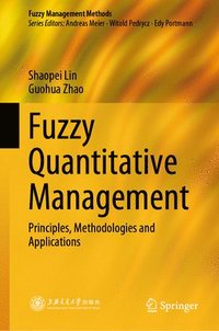 bokomslag Fuzzy Quantitative Management