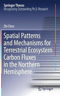 bokomslag Spatial Patterns and Mechanisms for Terrestrial Ecosystem Carbon Fluxes in the Northern Hemisphere