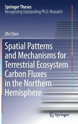 Spatial Patterns and Mechanisms for Terrestrial Ecosystem Carbon Fluxes in the Northern Hemisphere 1