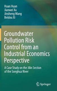 bokomslag Groundwater Pollution Risk Control from an Industrial Economics Perspective