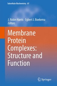 bokomslag Membrane Protein Complexes: Structure and Function