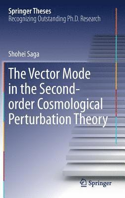 bokomslag The Vector Mode in the Second-order Cosmological Perturbation Theory