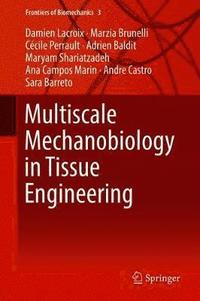 bokomslag Multiscale Mechanobiology in Tissue Engineering
