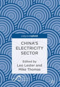 bokomslag China's Electricity Sector