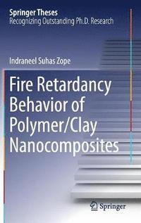 bokomslag Fire Retardancy Behavior of Polymer/Clay Nanocomposites