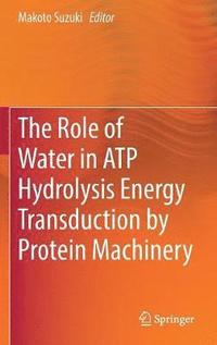 bokomslag The Role of Water in ATP Hydrolysis Energy Transduction by Protein Machinery