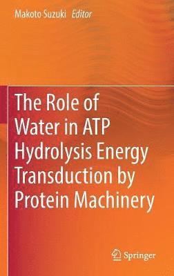 The Role of Water in ATP Hydrolysis Energy Transduction by Protein Machinery 1