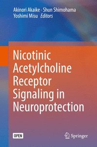 bokomslag Nicotinic Acetylcholine Receptor Signaling in Neuroprotection