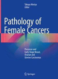 bokomslag Pathology of Female Cancers