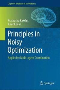 bokomslag Principles in Noisy Optimization