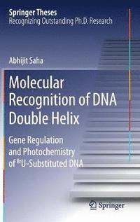 bokomslag Molecular Recognition of DNA Double Helix