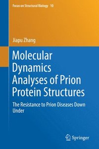 bokomslag Molecular Dynamics Analyses of Prion Protein Structures