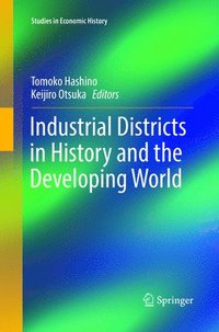 bokomslag Industrial Districts in History and the Developing World