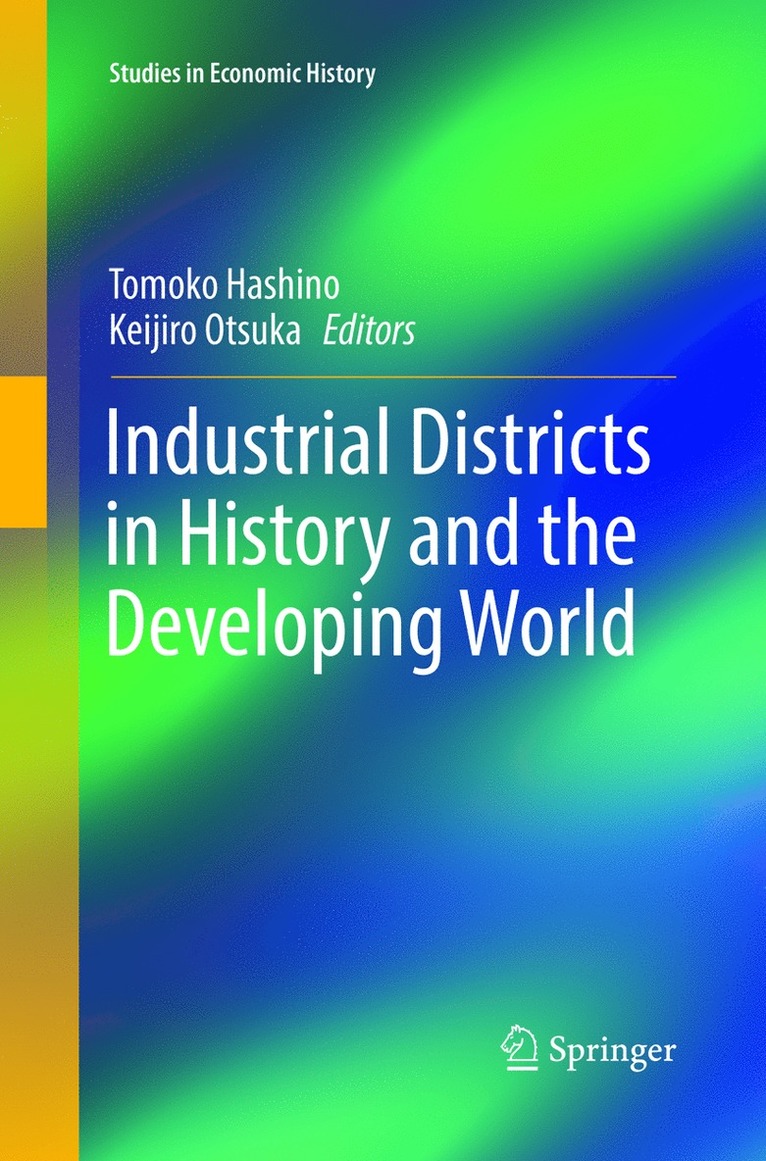 Tomoko Hashino, Keijiro Otsuka - Industrial Districts in History and the Developing World, Häftad
