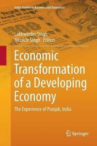 bokomslag Economic Transformation of a Developing Economy