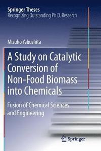 bokomslag A Study on Catalytic Conversion of Non-Food Biomass into Chemicals