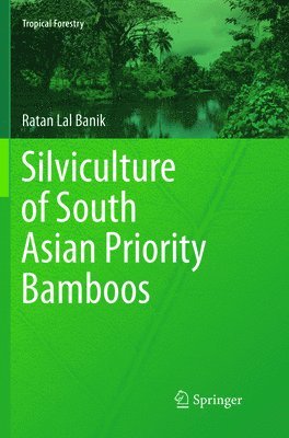 bokomslag Silviculture of South Asian Priority Bamboos