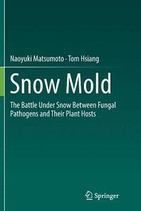 bokomslag Snow Mold