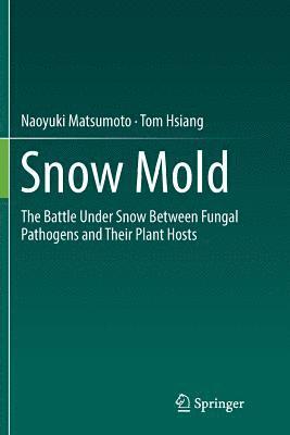 Snow Mold 1