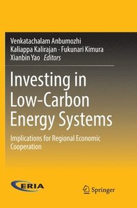 bokomslag Investing in Low-Carbon Energy Systems