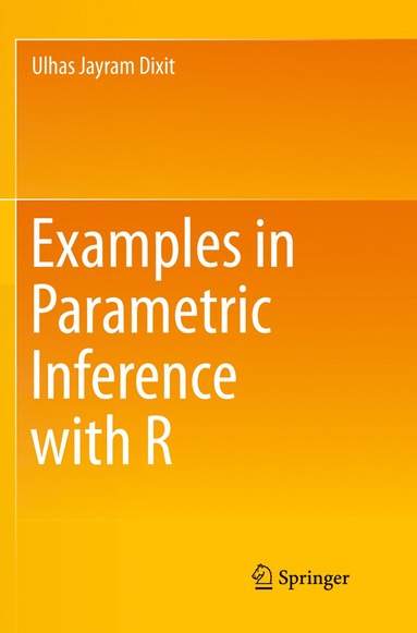 bokomslag Examples in Parametric Inference with R