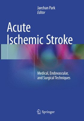 bokomslag Acute Ischemic Stroke