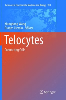 Telocytes 1