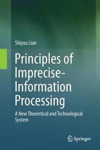 bokomslag Principles of Imprecise-Information Processing