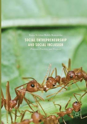 Social Entrepreneurship and Social Inclusion 1