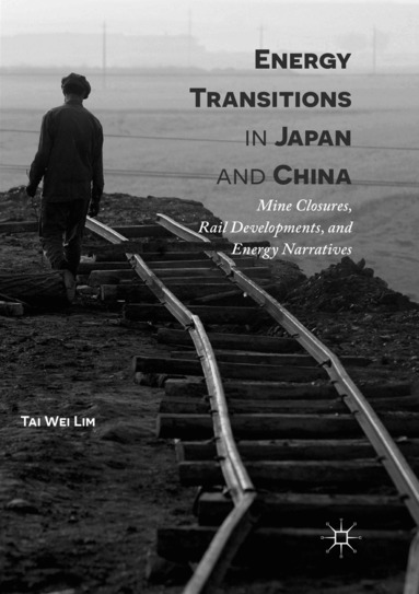 Tai Wei Lim - Energy Transitions in Japan and China, Häftad