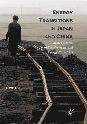 bokomslag Energy Transitions in Japan and China