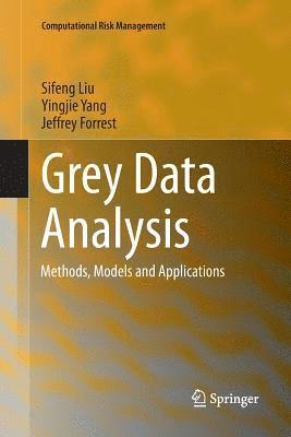 bokomslag Grey Data Analysis