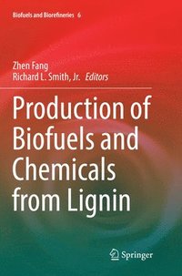 bokomslag Production of Biofuels and Chemicals from Lignin